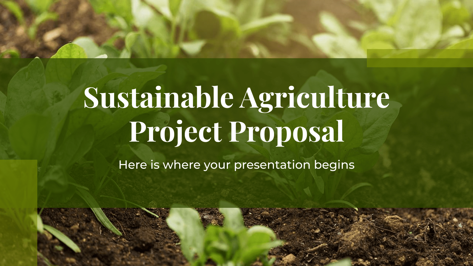 可持续农业PowerPoint模板